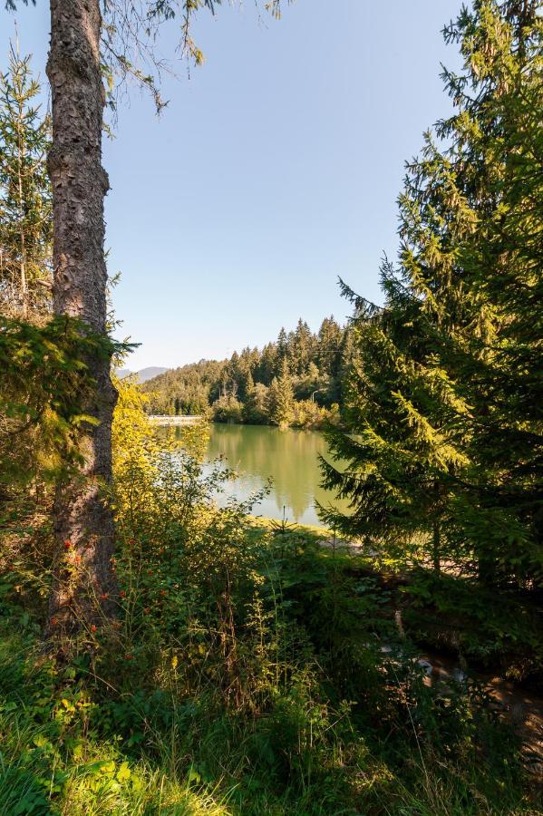 Vila Viktoria - Apartman Viktoria 2 Ruzomberok Buitenkant foto